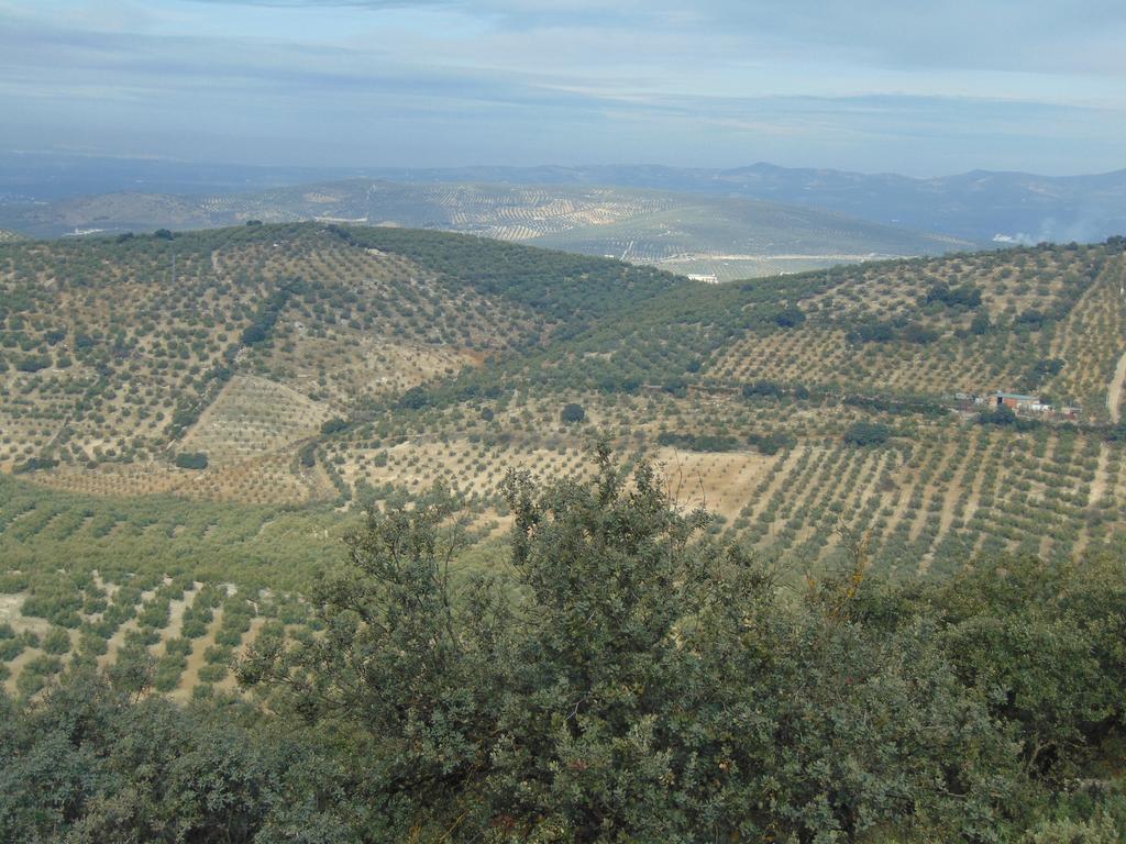 Hotel Sierra De Araceli Lucena Eksteriør billede