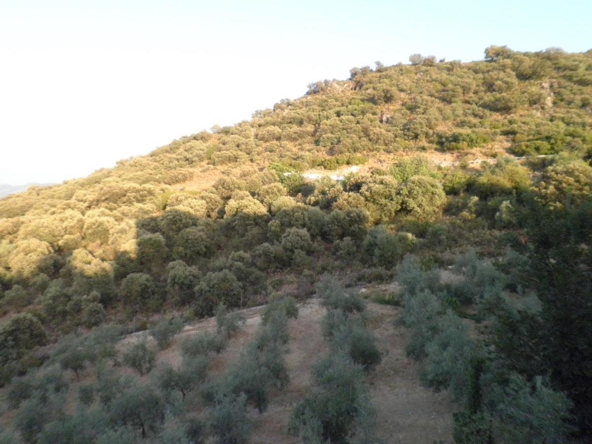 Hotel Sierra De Araceli Lucena Eksteriør billede